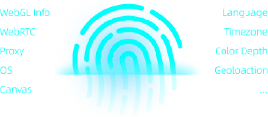 MoreLogin cloud phone team permission controls